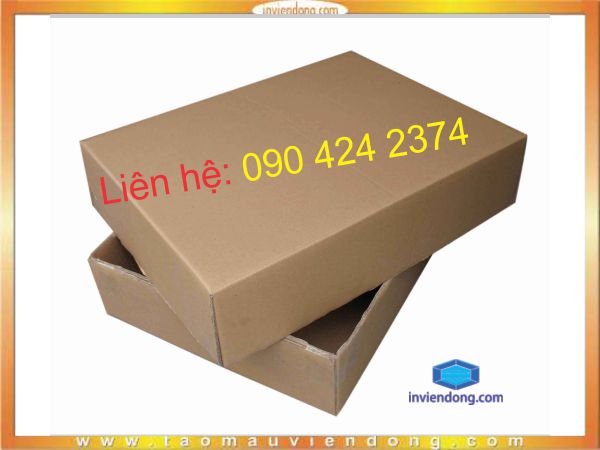 thung carton